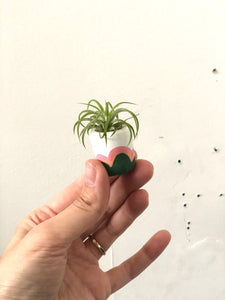 The Portland Mini Planter