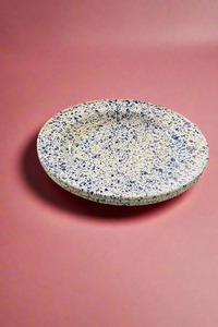 Enamelware Speckled Large Plate-WORM